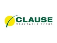 CLAUSE Seeds