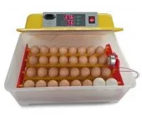 Инкубатор автоматический "Блиц-48" на 48 яиц