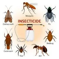 Тиара инсектицид