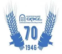Корпорация «СКЭСС» logo