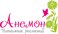 Саратовский питомник растений Анемон logo
