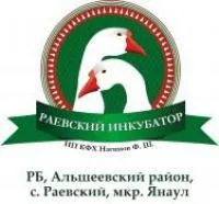 Раевский инкубатор