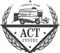 ООО "АСТ групп" логотип