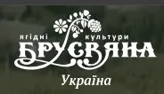 Брусвяна