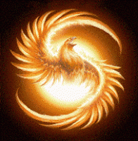 СЗК Феникс логотип