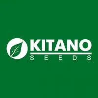 KITANO SEEDS