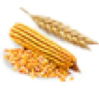 Сельскохозяйственная Экспортная Корпорация логотип