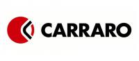 Шестерня SDF 0.900.2090.4 / Carraro 339634