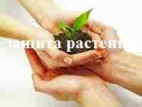 Защита растений