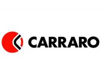 Шкворень CARRARO 641350