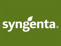 СИНГЕНТА (Syngenta) Семена гибридов подсолнечника