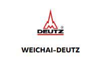 DLLA152S295-1, Распылитель Weichai-Deutz TD226B-6G (ровное)
