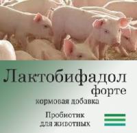 Пробиотическая кормовая добавка Лактобифадол Форте для свиней