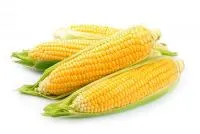 Ceмена Кукурузы разных сортов