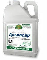 Алькасар, КС