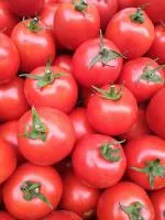 Семена томатов SF-903 F1