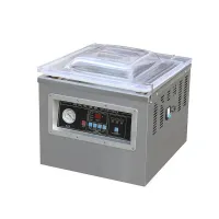 Вакуумный упаковщик DZ-500/2F (DZQ-500/2F)