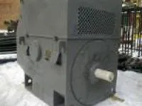 Электродвигатель высоковольтный ДАЗО4-450Y-10М У1 (315 кВт; 600 об) с короткозамкнутым ротором