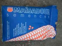 Семена кукурузы МАЙСАДУР СЕМАНС (Maisadour)