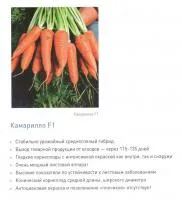 Семена моркови Кардифф F1 1,80-2,00 mm (500 000 семян)