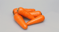 Морковь Абако F1 2,0-2,2 (1 млн. с.) Seminis