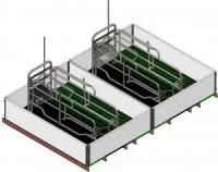 Станки опороса для свиней