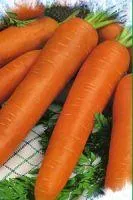 Семена моркови Фея