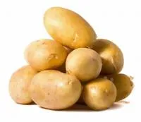 Семена картофеля Лидер