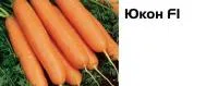 Семена моркови Юкон F1