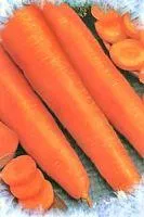 Семена моркови Золотая осень