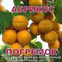 Саженцы абрикоса, персика