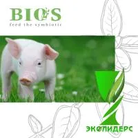 Растительная кормовая добавка БИОС 500 для свиней