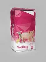 ЗОМ «WELLPIG» (заменитель обезжиренного молока, 4% жира, 35% протеина)