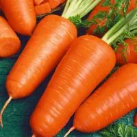 Морковь КУРОДА ШАНТАНЭ (25 грамм) Гавриш