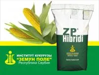 Семена гибрида кукурузы ЗПСК-434