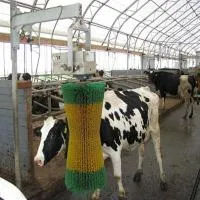 Автоматическая чесалка для коров
