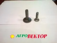 Болт норийный М 10*40