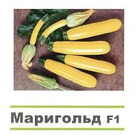 Маригольд F1 (кабачок) 500 с