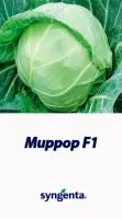 Миррор F1 (капуста б/к) 2500 с.