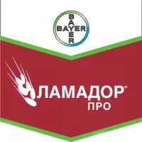 Протравитель семян Ламадор Про, Bayer CropScience (Байер), 5 л