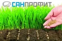 Анализ почвы на плодородие, оценка агрономического состояния почвы. Крым