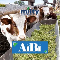 Биоконсерванты AiBi для сенажа, силоса, зерна