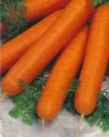 Морковь Ромоса (пак. 500 г), Бейо