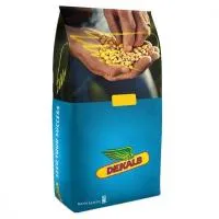 Семена гибридов кукурузы ДКС/DKS DEKALB/Monsanto