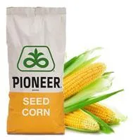 Семена гибридов кукурузы Пионер П9241
