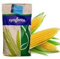 Семена гибридов кукурузы Syngenta Амбадор СИ