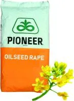 Семена ярового рапса Pioneer PR46H75/ ПР45Х73