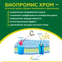 Биопромис Хром пиколинат