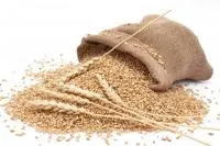 Пшеницы фуражная (фасованная в мешках по 40 кг)