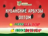 Арбузы оптом